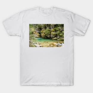 Fast river near forest in Bucegi mountains, Romania T-Shirt